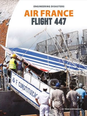Air France Flight 447 - ebook